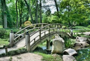 small bridge in park